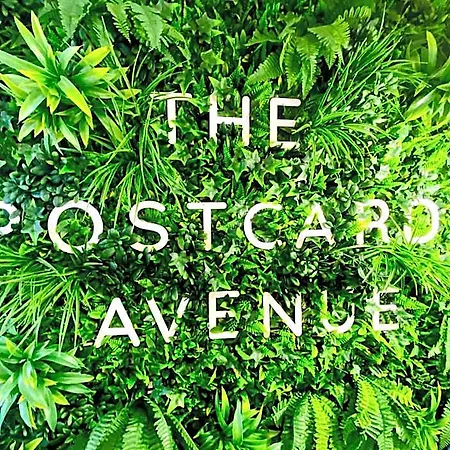The Postcard Avenue