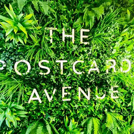 The Postcard Avenue Lisbon